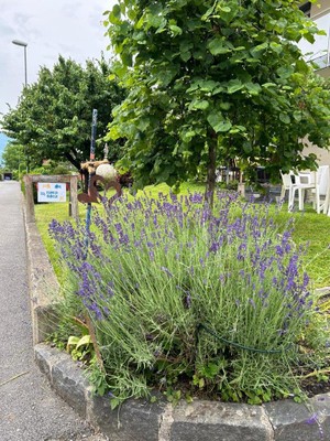 Bänkle Hock © MITANAND (3).jpg