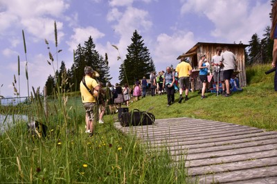 20240729 running alpschwein © mg rankweil (41).JPG