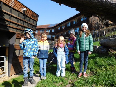 Bauernhoferlebnis BurPur © Ilse Anders (35).jpg