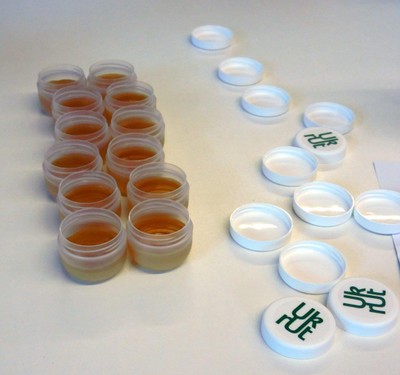 Naturkosmetik selbst herstellen © Ilse Anders (12).jpg