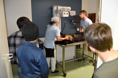 MINT Röntgen Tierklinik Schwarzmann © Norbert Preg (1)