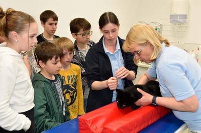 MINT Röntgen Tierklinik Schwarzmann © Norbert Preg (5)