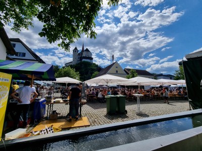 Fest der Kulturen 2022 © Monika Gstach (2).jpg