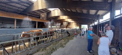 Hoffest Maldina © Angelika Frick (15).jpg
