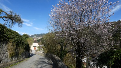Frühling © Angelika Frick (12).JPG