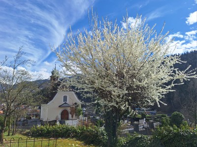 Frühling © Ilse Anders (2).jpeg