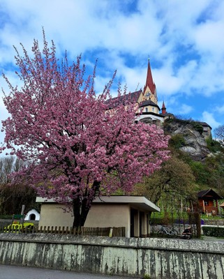 Frühling © Ilse Anders.jpg