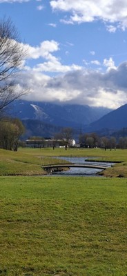 Frühling © Monika Gstach (2).jpg