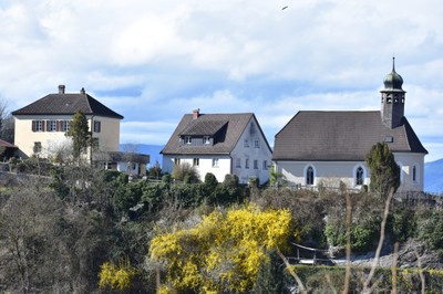 Frühling © Ramona Heinzle (3).jpg