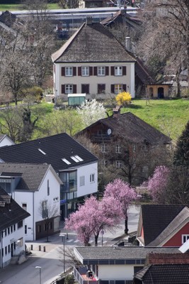 Frühling © Ramona Heinzle (4).jpg