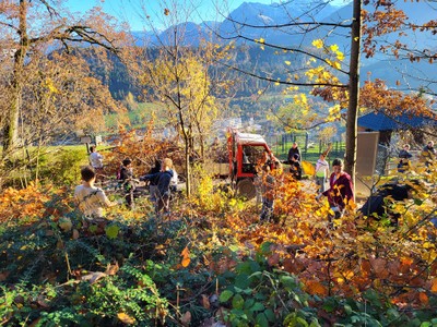 20231123 hilf mit im wildpark © mg Rankweil - melitta gassner (1).jpg