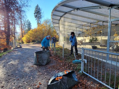 20231123 hilf mit im wildpark © mg Rankweil - melitta gassner (16).jpg