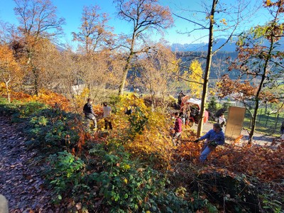 20231123 hilf mit im wildpark © mg Rankweil - melitta gassner (17).jpg