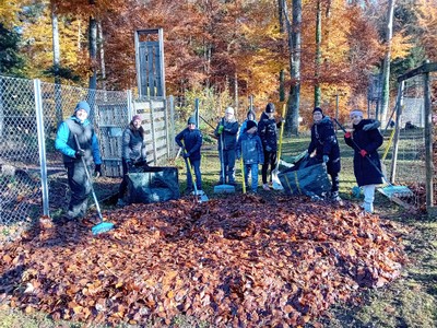 20231123 hilf mit im wildpark © mg Rankweil - melitta gassner (6).jpg