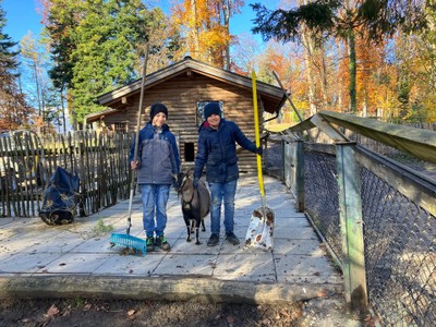 20231123 hilf mit im Wildpark © spz götzis -Tamara Unger (6).jpeg
