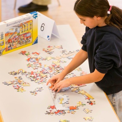 MINT-Puzzle-Meisterschaft
