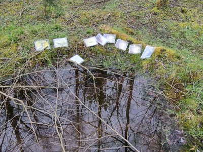 osterferien 2024 © stadt feldkirch (15).jpg
