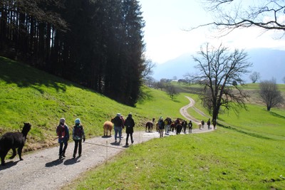 osterferien 2024 © stadt feldkirch (24).JPG