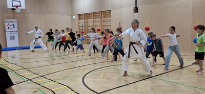 Karate-Schnuppertraining © Monika Sattler-Gstach (6).jpg