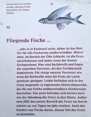 Naturspaziergang Frutz © Ilse Anders (16).jpg