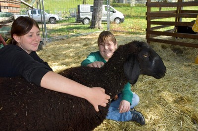Bauernhof mit allen Sinnen erleben _Bur Pur Röthis © MG Rankweil (15).jpg