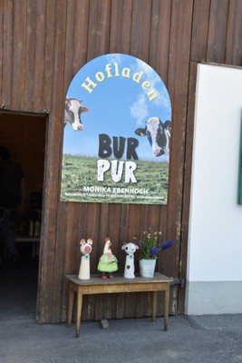 Bauernhof mit allen Sinnen erleben _Bur Pur Röthis © MG Rankweil (6).jpg