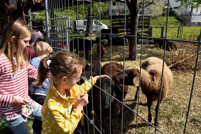 Bauernhof mit allen Sinnen erleben _Bur Pur Röthis © MG Rankweil (9).jpg