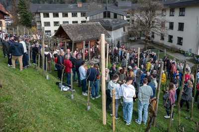 Rankler Kellerfest 2023 (5) © Christian Lins