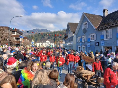 Rankler Umzug © MG Rankweil (38).jpg