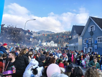 Rankler Umzug © MG Rankweil (45).jpg