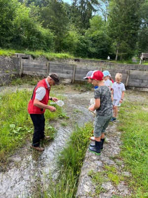wasserexkursion an der frutz © hanna tierroniemi (3).jpeg