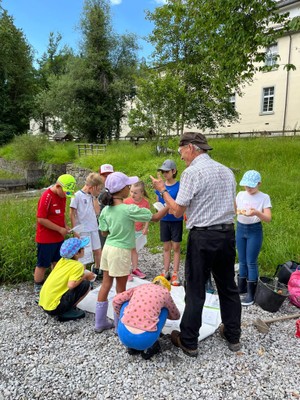 wasserexkursion an der frutz © hanna tierroniemi (4).jpeg