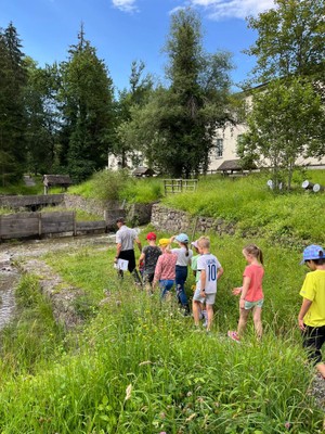 wasserexkursion an der frutz © hanna tierroniemi (5).jpeg