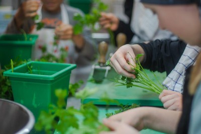 Kochen mit dem Chefkoch © Sarah Wechselberger (11).jpg