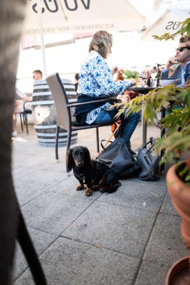 Slow Foood Spaziergang Juni 2023 © Guntram Fechtig (65).jpg