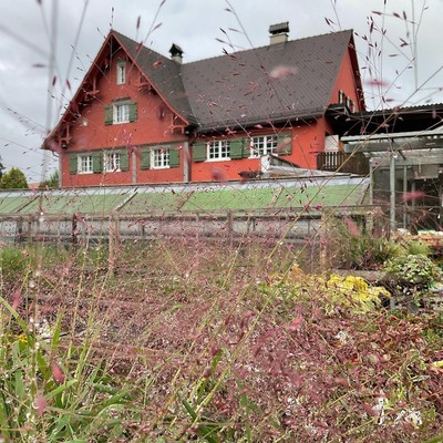 Blumen Bauer