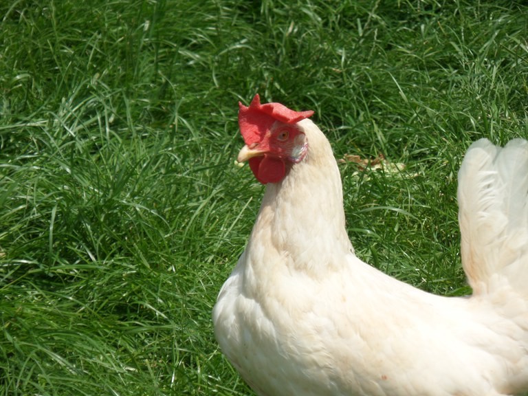 Familie Scheidbach ©Marktgemeinde Rankweil