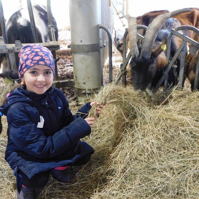 Osterferienprogramm lockte „raus aus dem Nest“
