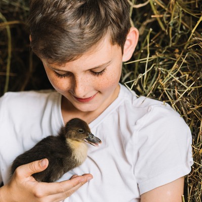 Raus aus dem Nest: Die Osterferien werden bunt