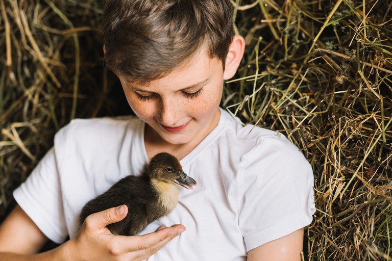 Bub hällt ein Enten-Küken im Arm © freepik