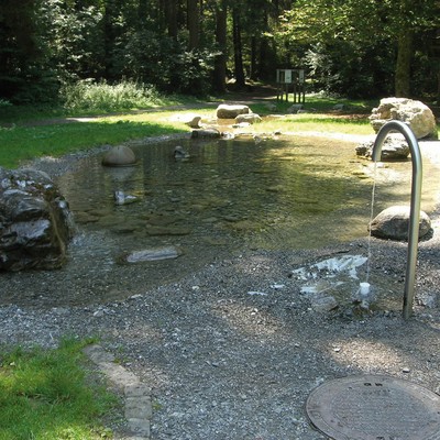 Schafplatz