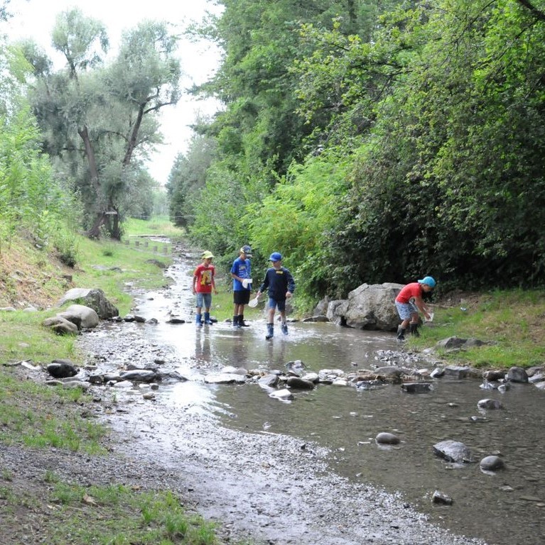 Wasser an der Trift © Marktgemeinde Rankweil