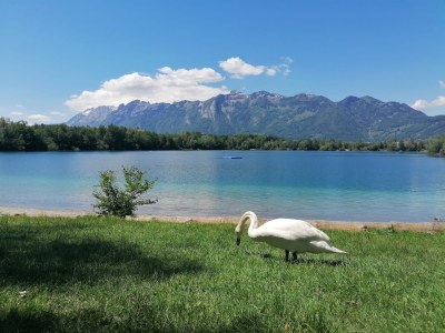 20190604_paspelsseen_cilli_linher_1.jpg