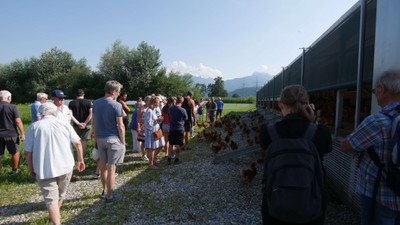 20240726 sennhof exkursion rankweiler sommer © angelika fricka (14).JPG