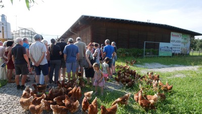 20240726 sennhof exkursion rankweiler sommer © angelika fricka (21).JPG