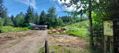 Abbruch alter Fitnessparcours © Angelika Frick.jpg