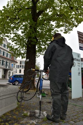 Bodensanierung © MG Rankweil (8).jpg