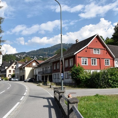 Der gruene Baum vor dem Abbruch © MG Rankweil.jpg