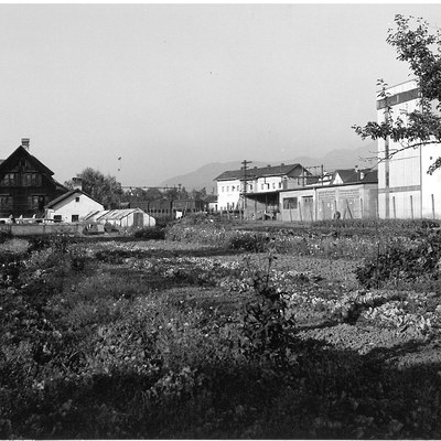 Gärtnerei Rauch an der Zehenstraße im Jahr 1965. Im Hintergrund das Bahnhofgelände.jpg