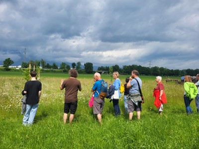 Naturnahe Begrünung - Spaziergang m.jpg